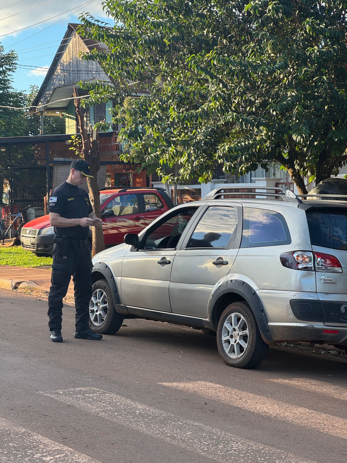 Megaoperativo en Misiones: 33 detenidos y más de 90 vehículos secuestrados 3