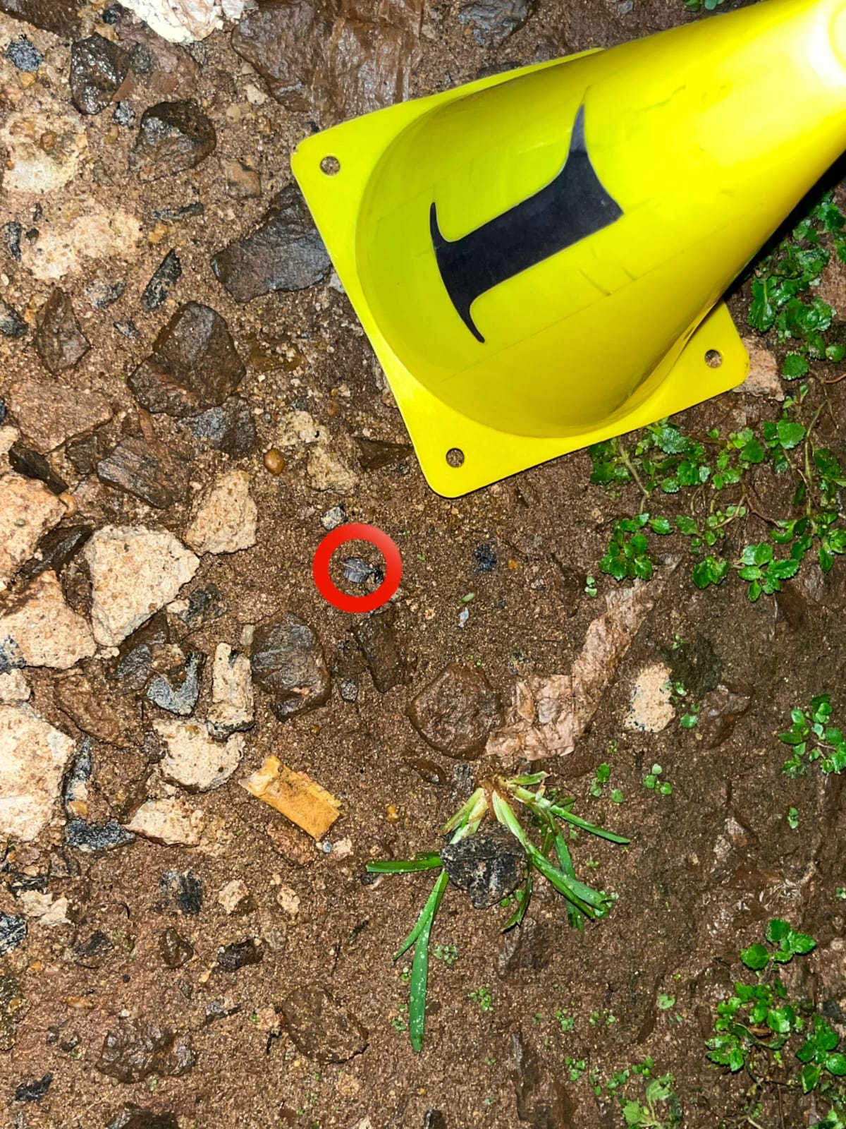 Atacaron a tiros una vivienda en Posadas y huyeron en moto 3