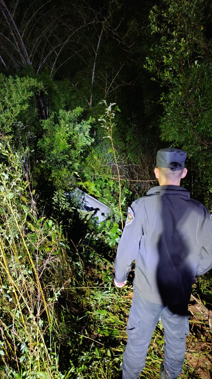 Dijo que esquivó coatíes, pero volcó alcoholizado y terminó detenido 2