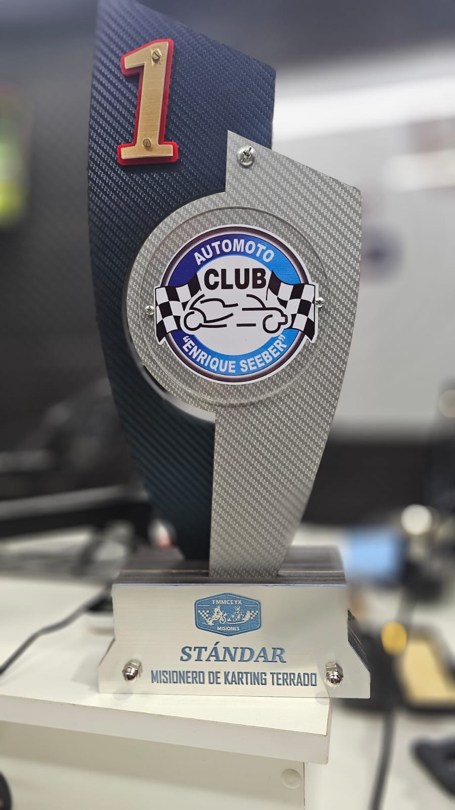 Campeón eldoradense en Karting sobre tierra: “Hay mucho trabajo detrás de todo” 2