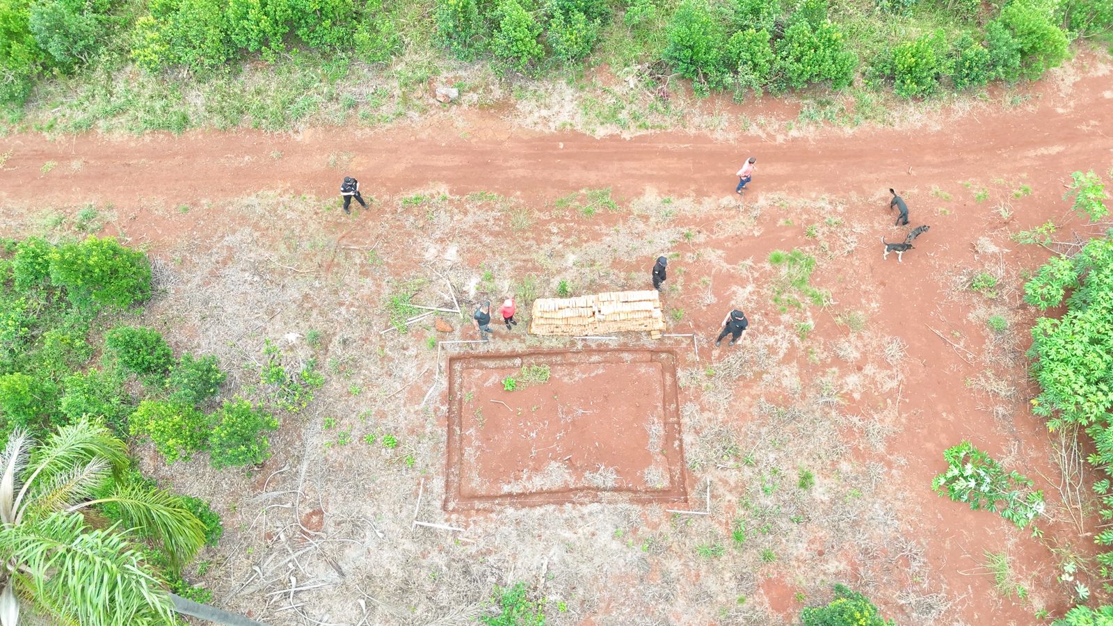 Desaparición de perros en Guaraní: rastrillaron dos chacras y no hallaron indicios 3