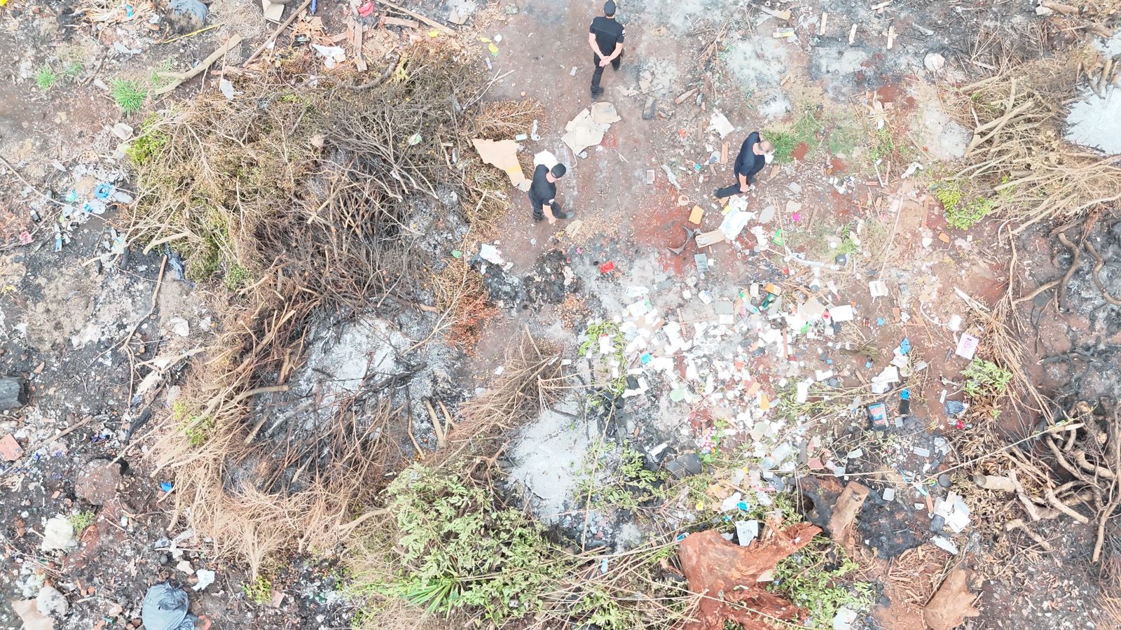 Desaparición de perros en Guaraní: rastrillaron dos chacras y no hallaron indicios 5