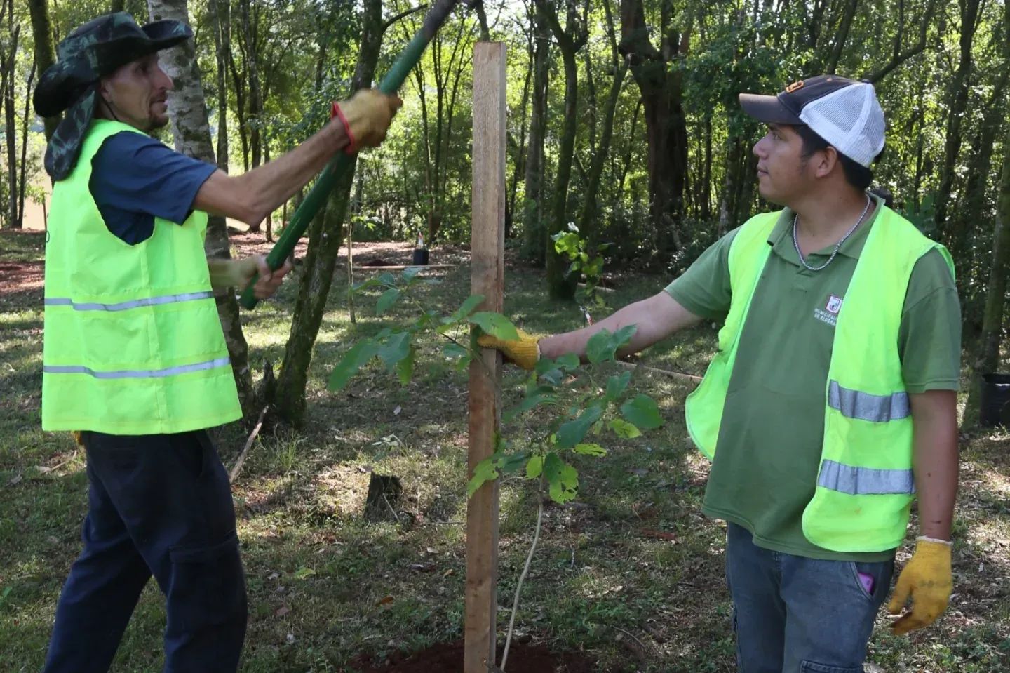 Plantaron árboles en el Lago Ziegler y avanzan hacia un Jardín Botánico Municipal 2