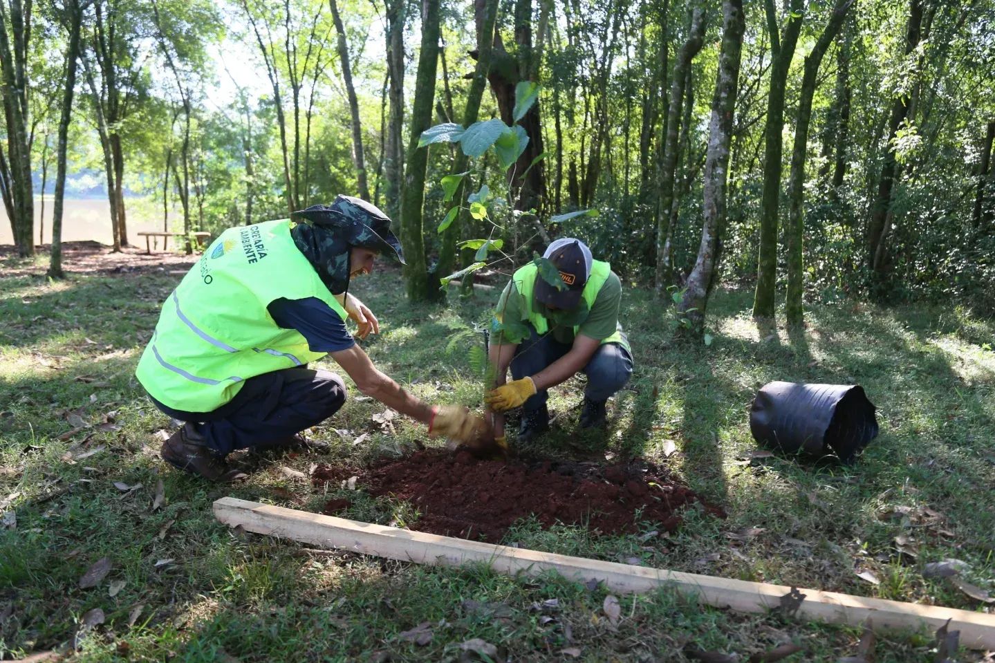 Plantaron árboles en el Lago Ziegler y avanzan hacia un Jardín Botánico Municipal 3