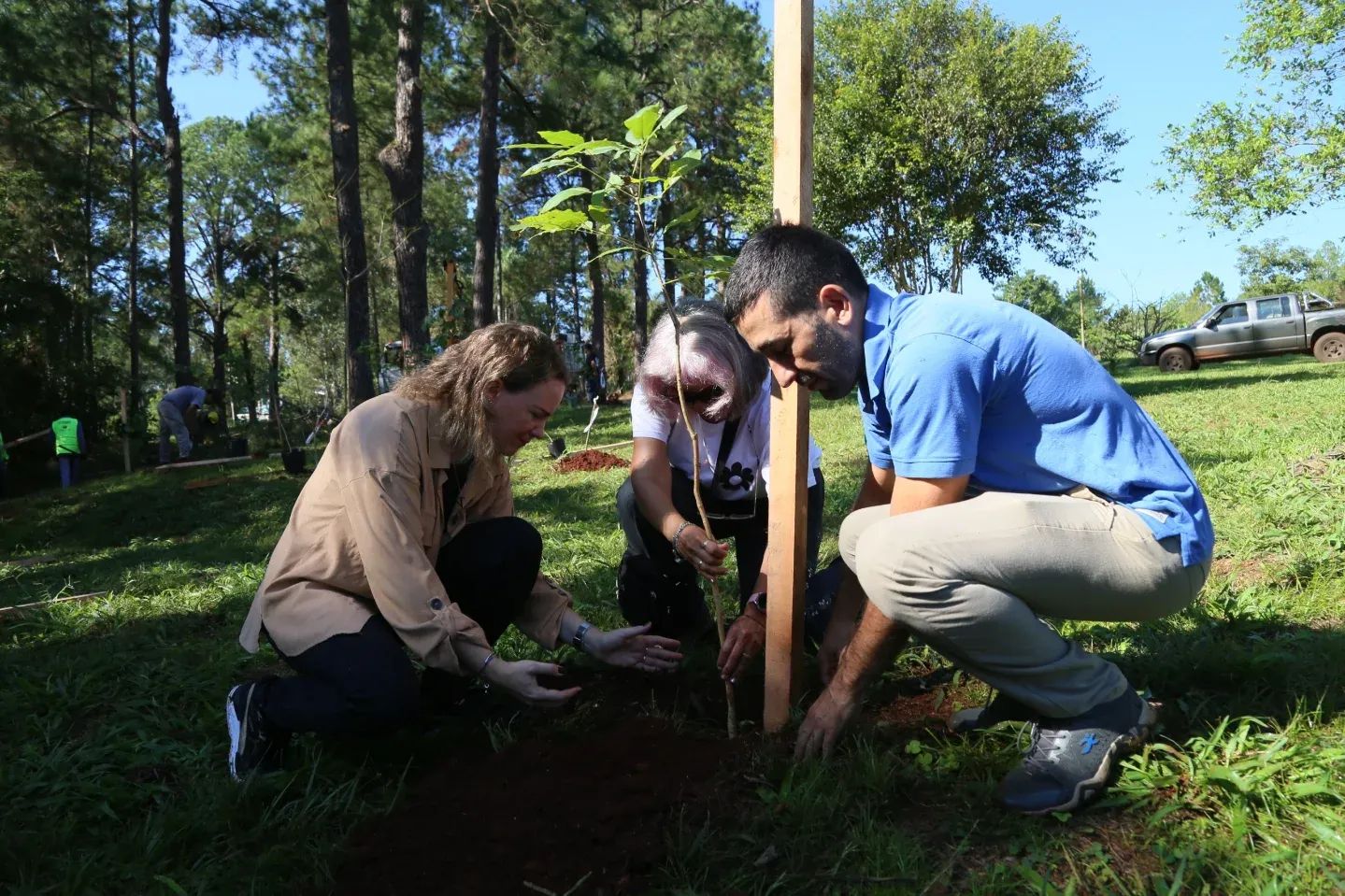 Plantaron árboles en el Lago Ziegler y avanzan hacia un Jardín Botánico Municipal 4
