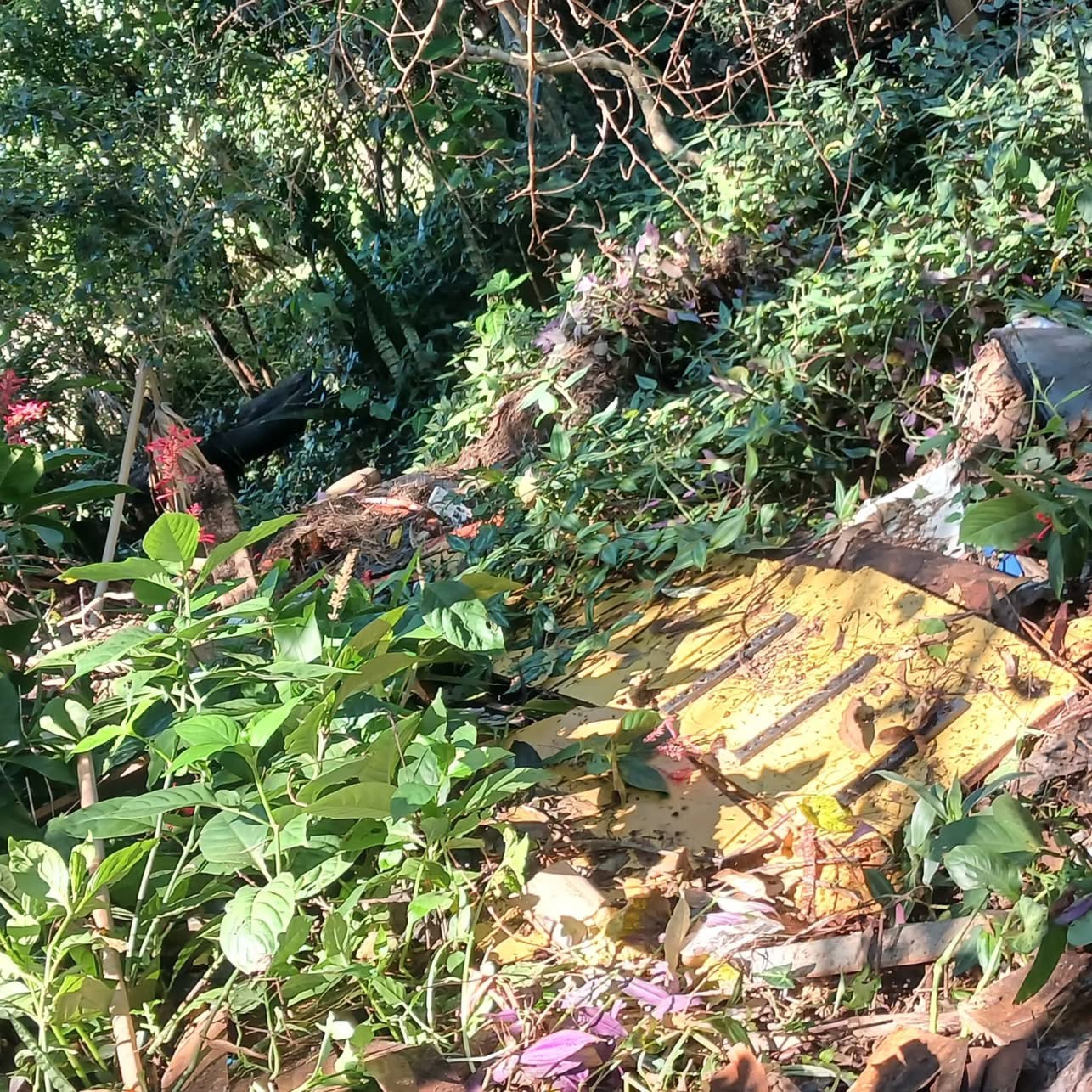 Avanzan las tareas de erradicación de microbasurales en el barrio Guacurarí 3