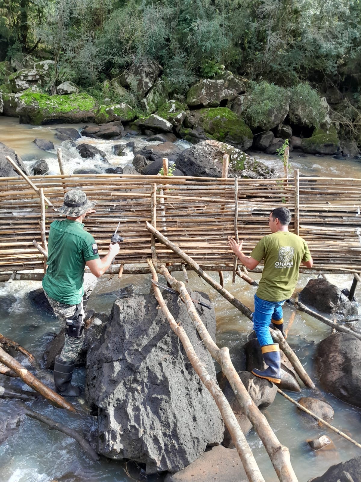 Campo Ramón: desmantelaron trampas de pesca ilegal y liberaron el cauce del arroyo 3