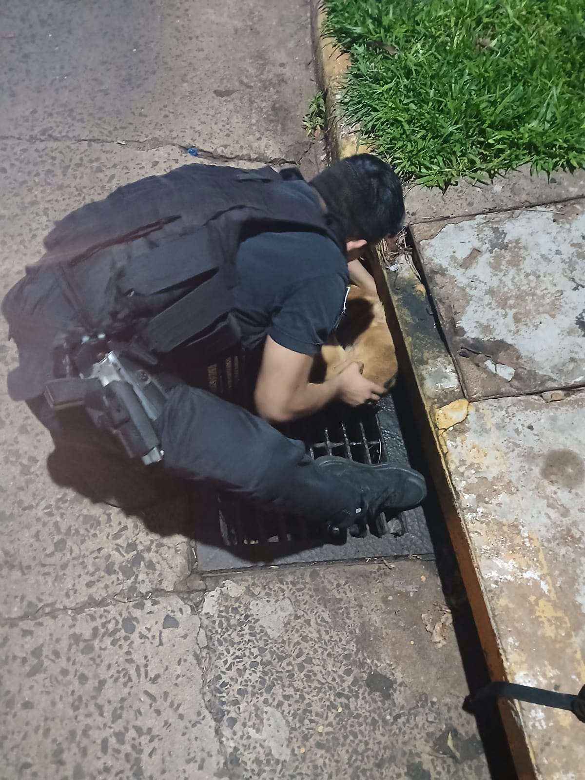 Rescataron a un perro que estaba atrapado en un desagüe en Posadas 3