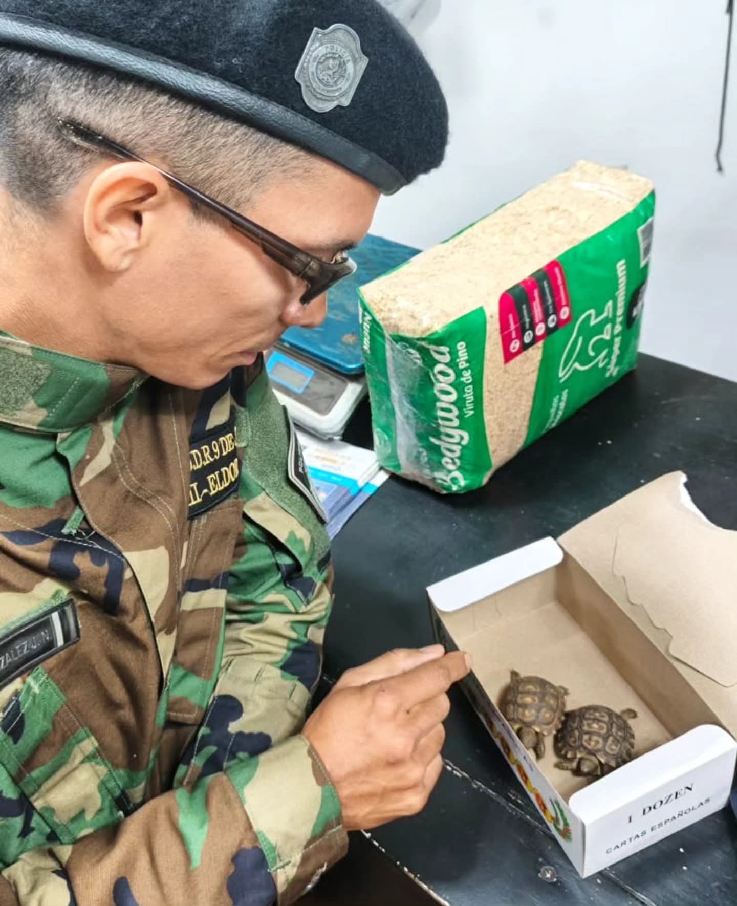 Rescataron tortugas y aves exóticas que eran ofrecidas por WhatsApp en una agropecuaria de Eldorado 3