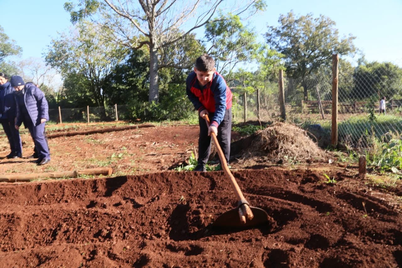 Huertas escolares en Eldorado: “Buscamos que los chicos vuelvan a interesarse por la horticultura” 3