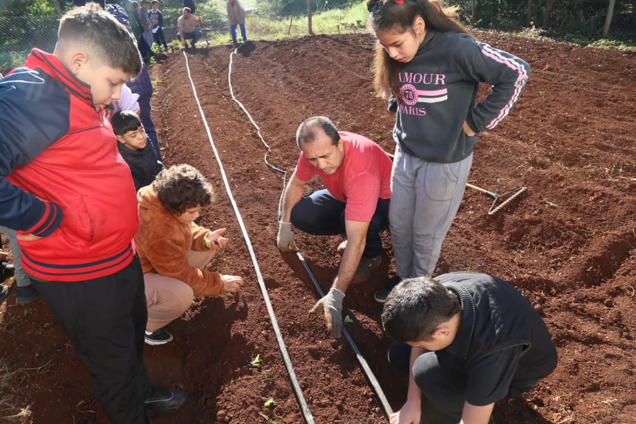 Huertas escolares en Eldorado: “Buscamos que los chicos vuelvan a interesarse por la horticultura” 4