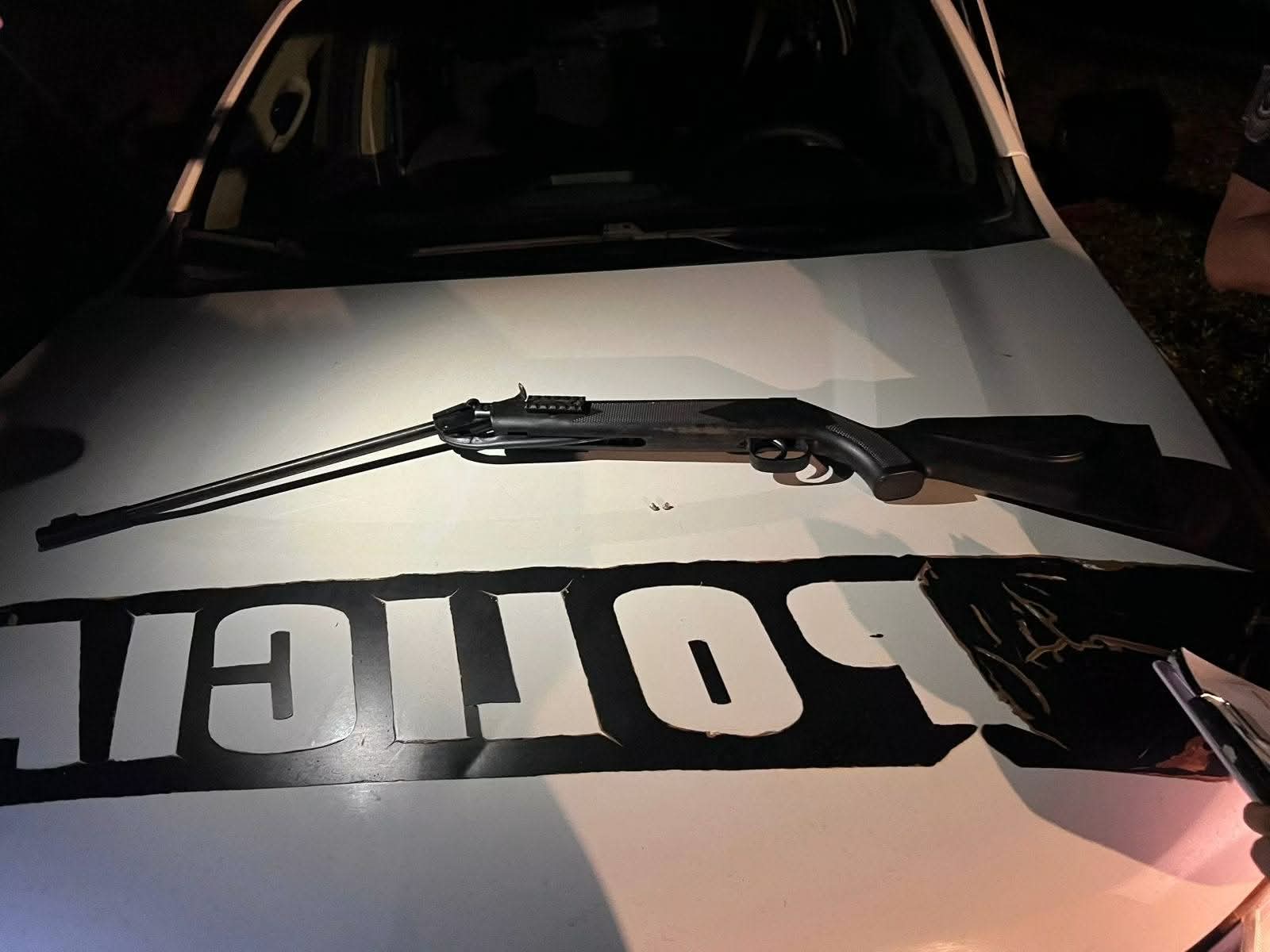 Detuvieron al hombre que mató a disparos al perro de su vecino en Candelaria  2