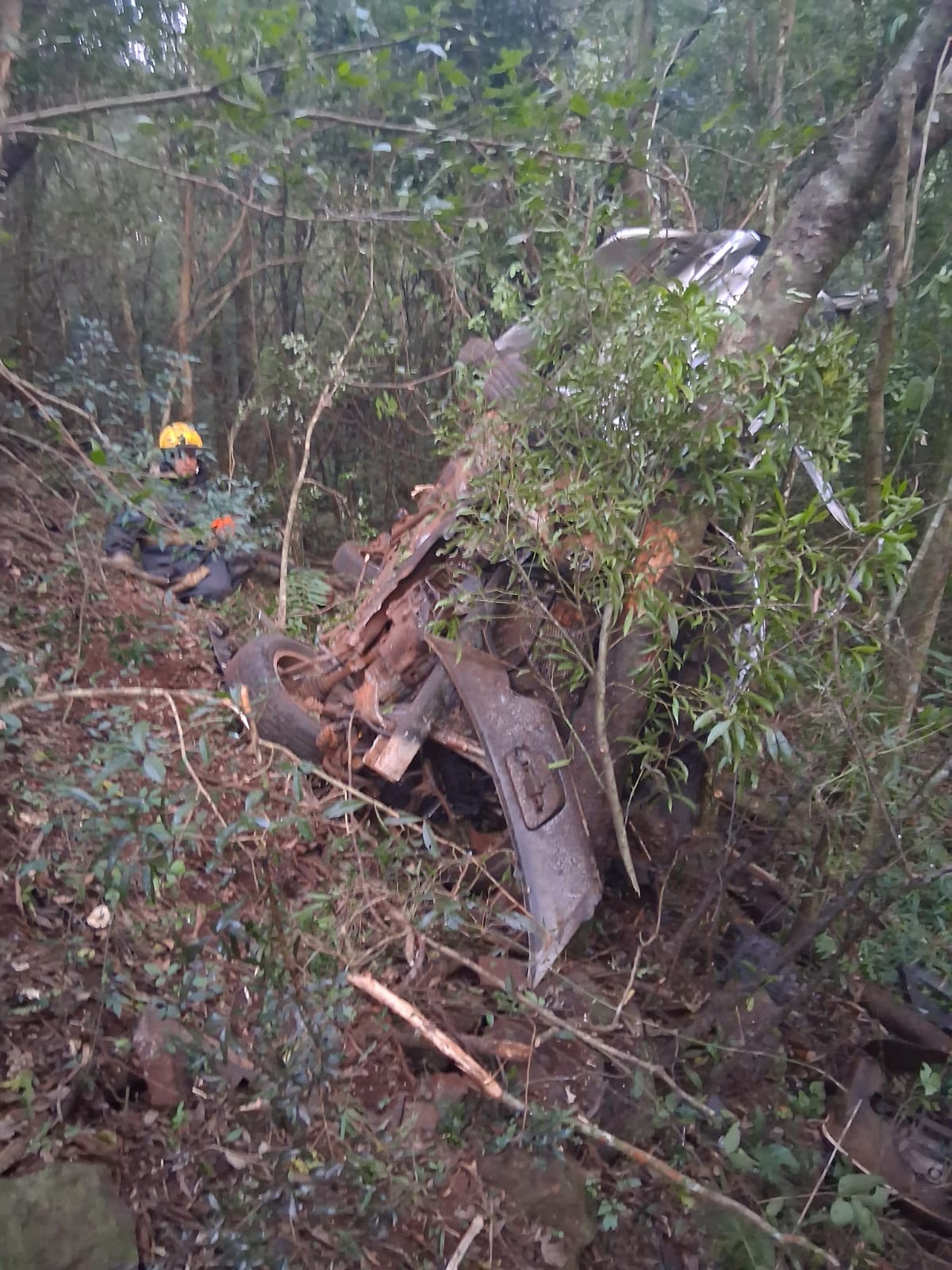 Tragedia en Bonpland: murió un cabo del Servicio Penitenciario tras despistar y chocar contra árboles 2