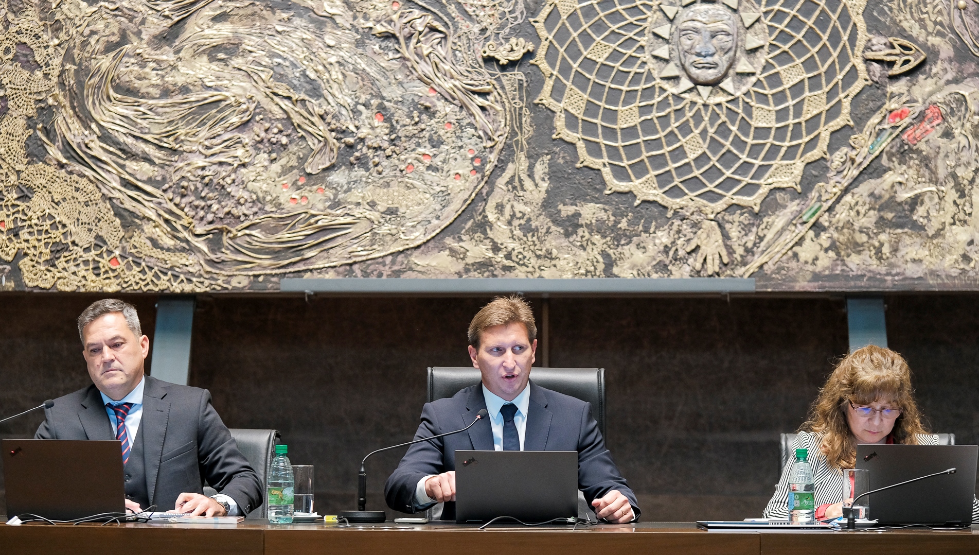 Ocho designaciones en el Poder Judicial y un programa para cardiopatías congénitas fueron aprobados por la Legislatura misionera 2