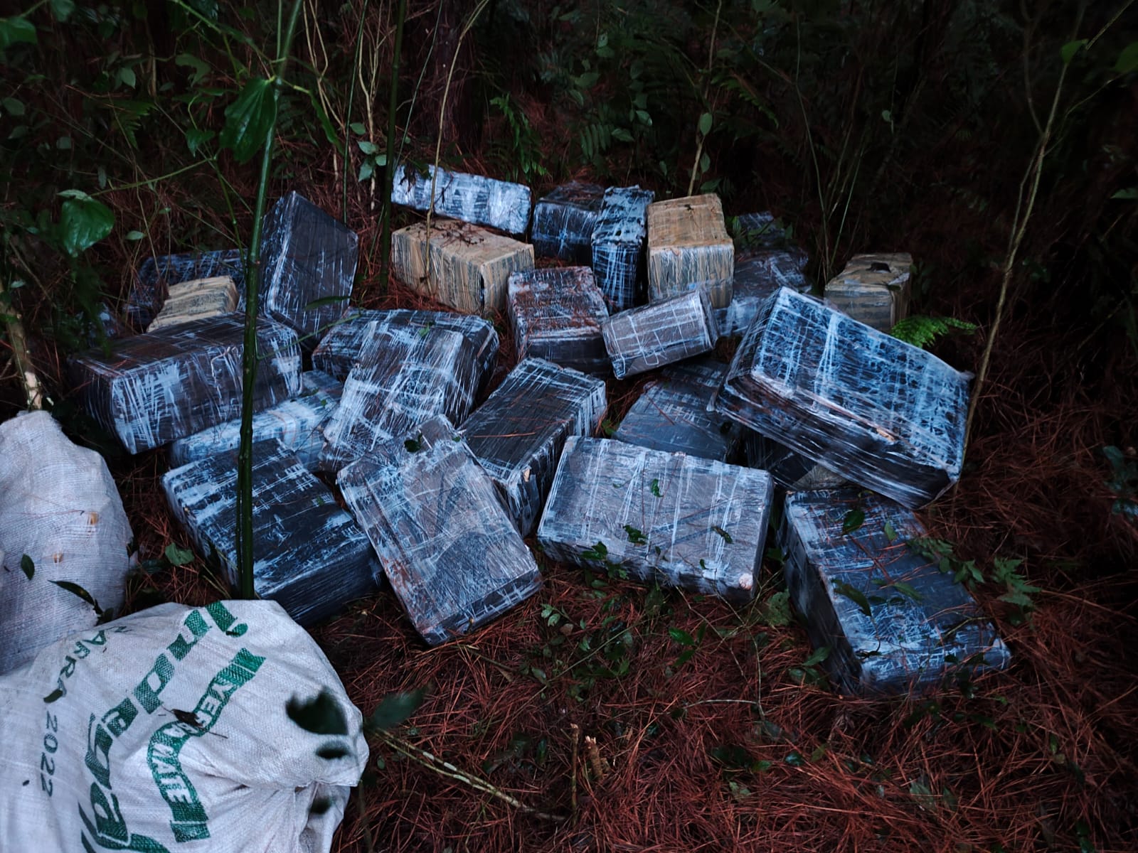 Megaoperativo antidrogas en Caraguatay: incautaron casi seis toneladas de marihuana 3