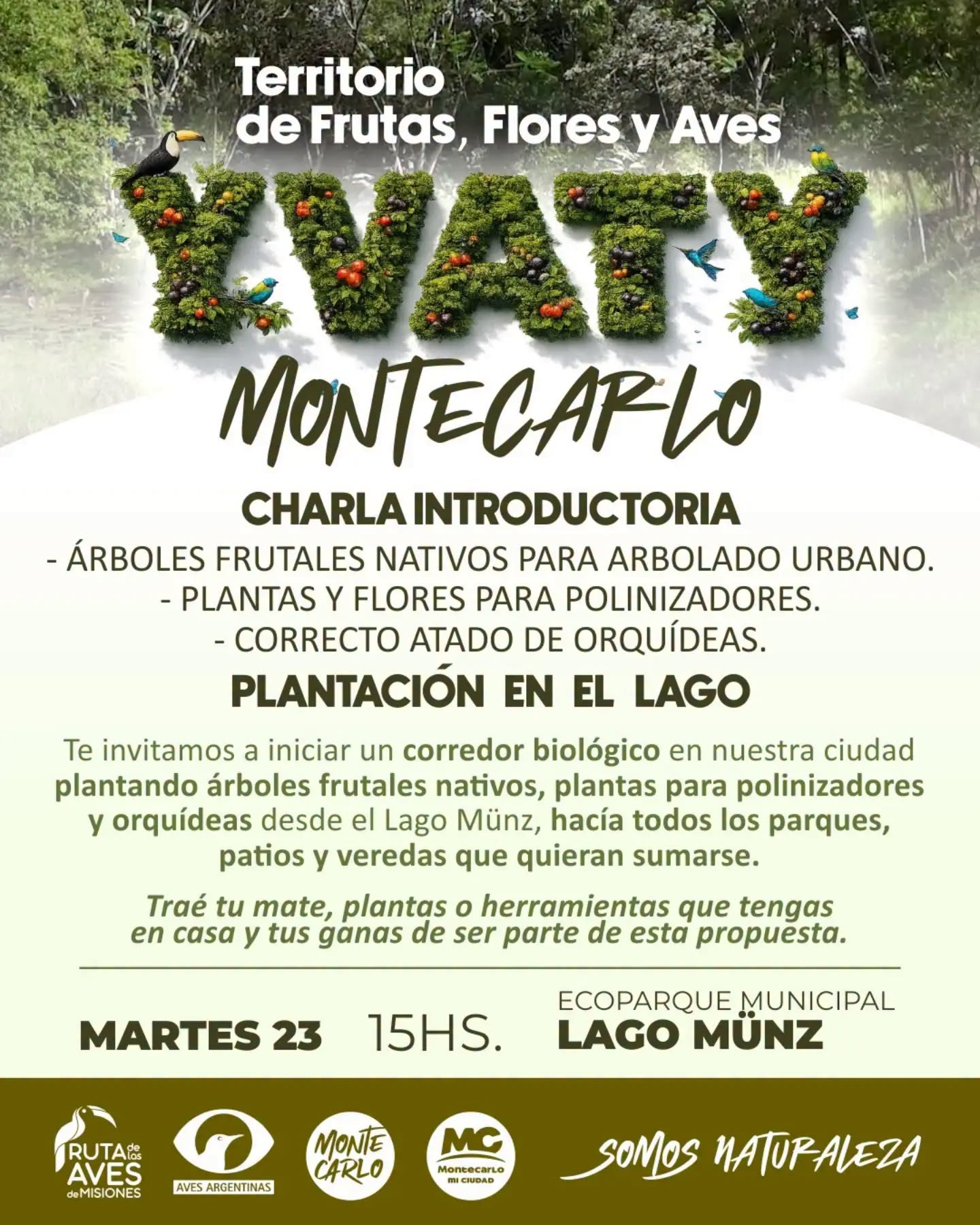 Lanzarán YVATY, una iniciativa que busca restaurar y enriquecer la biodiversidad urbana de Montecarlo 2