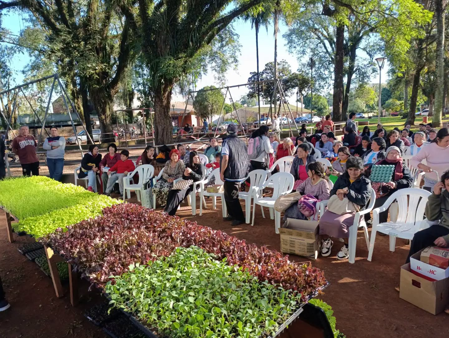 Eldorado: entregaron más de 14 mil plantines hortícolas a familias del programa Hambre Cero 3
