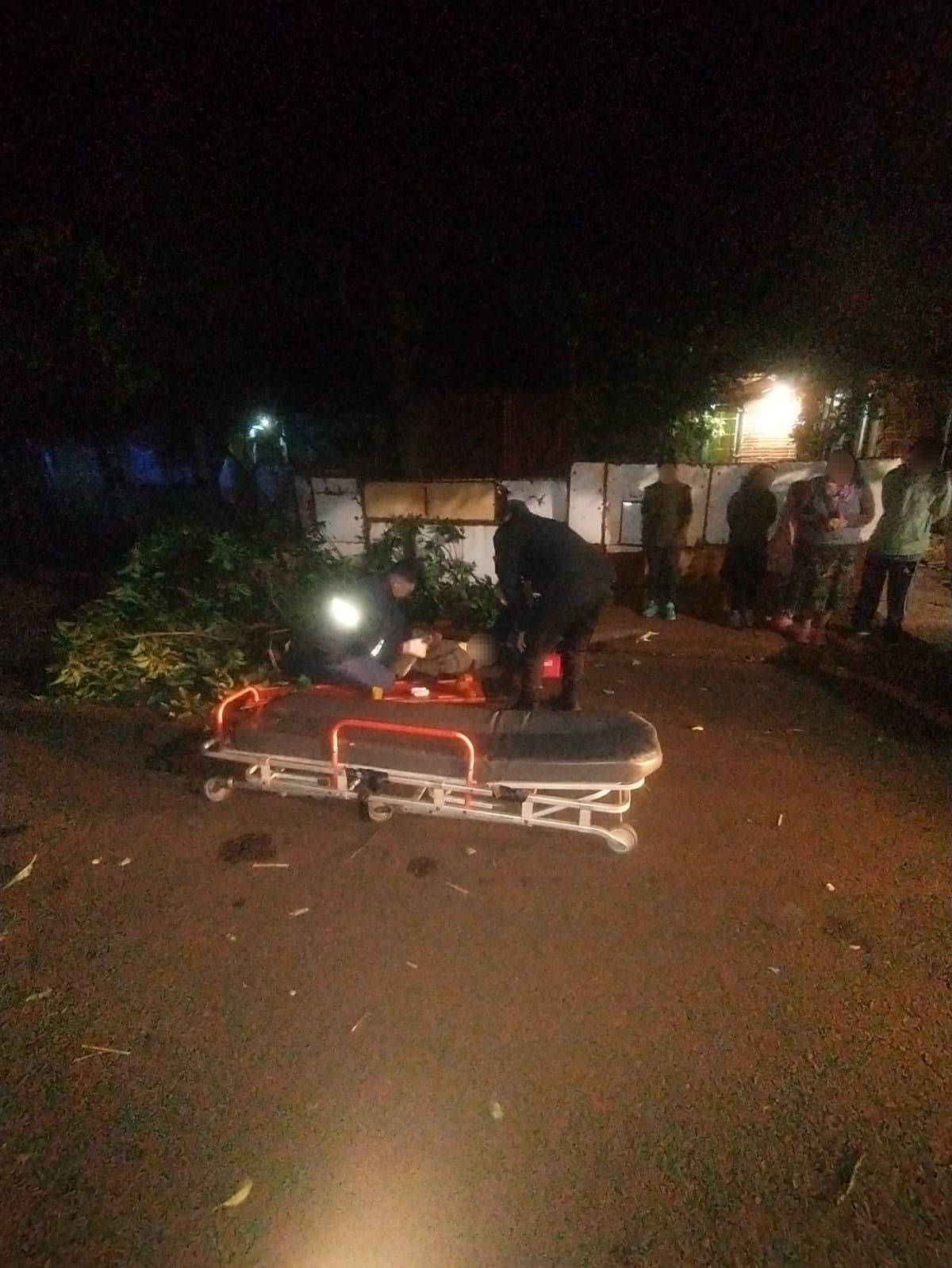Intentó robar paltas, cayó de un árbol y terminó internado con graves lesiones en Posadas 3