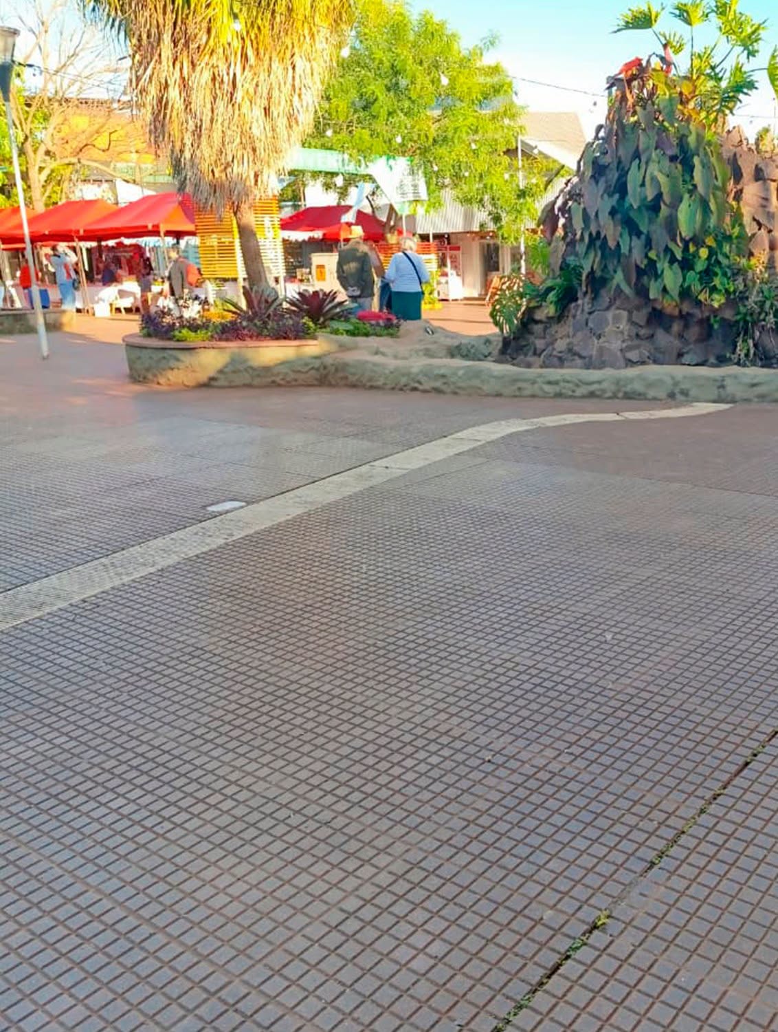 Tras los festejos en Eldorado, el municipio realizó un operativo de limpieza en la plaza y la avenida 2