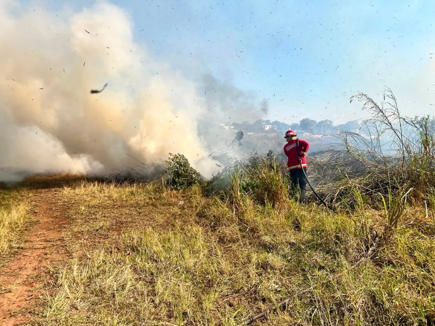 Más de 20 operativos por incendios y daños causados por el viento en Misiones 3