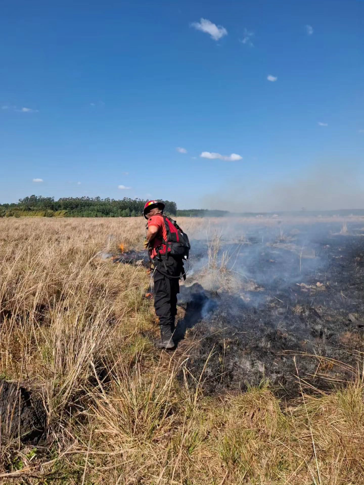 Más de 20 operativos por incendios y daños causados por el viento en Misiones 4