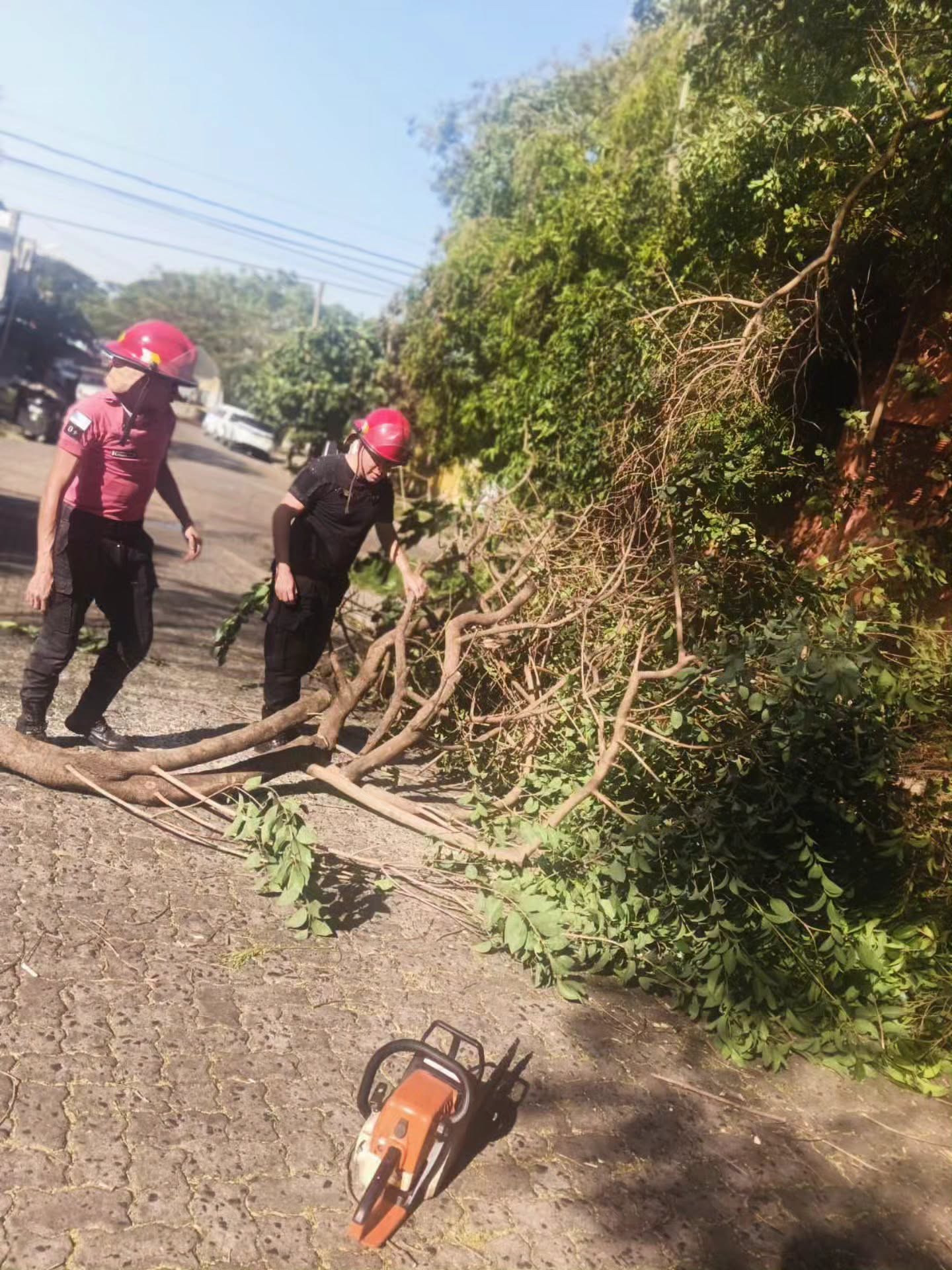 Más de 20 operativos por incendios y daños causados por el viento en Misiones 5