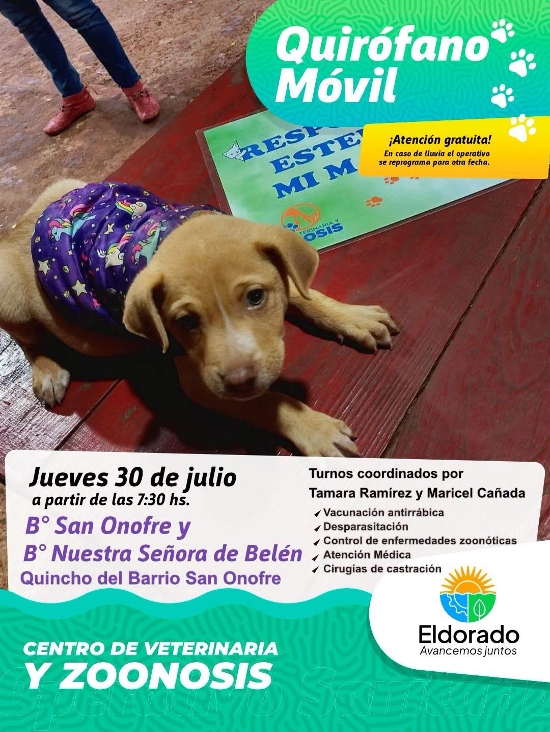 El Quirófano Veterinario Móvil realizará un operativo de esterilización en los barrios San Onofre y Virgen de Belén 2