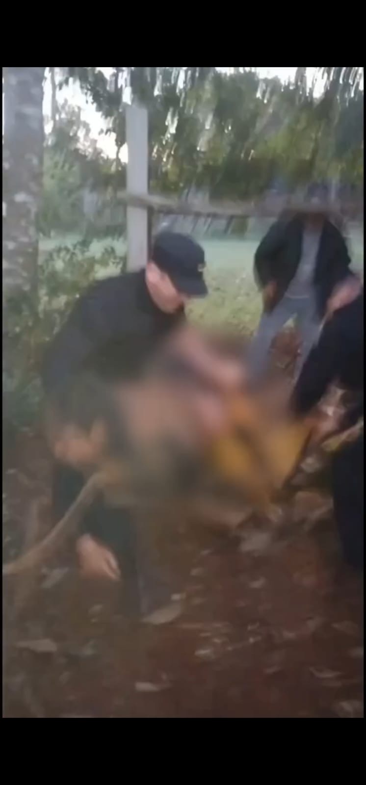 Cayó a un pozo de 15 metros y policías descendieron con sogas para rescatarlo en Azara 2
