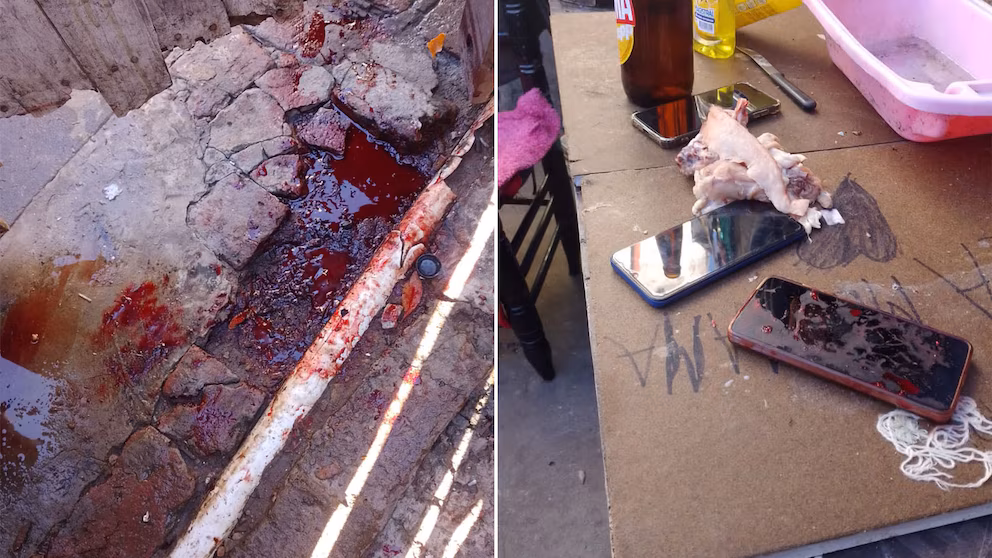 Femicidio en Daniela Armoa: la autopsia reveló que recibió 35 puñaladas 2