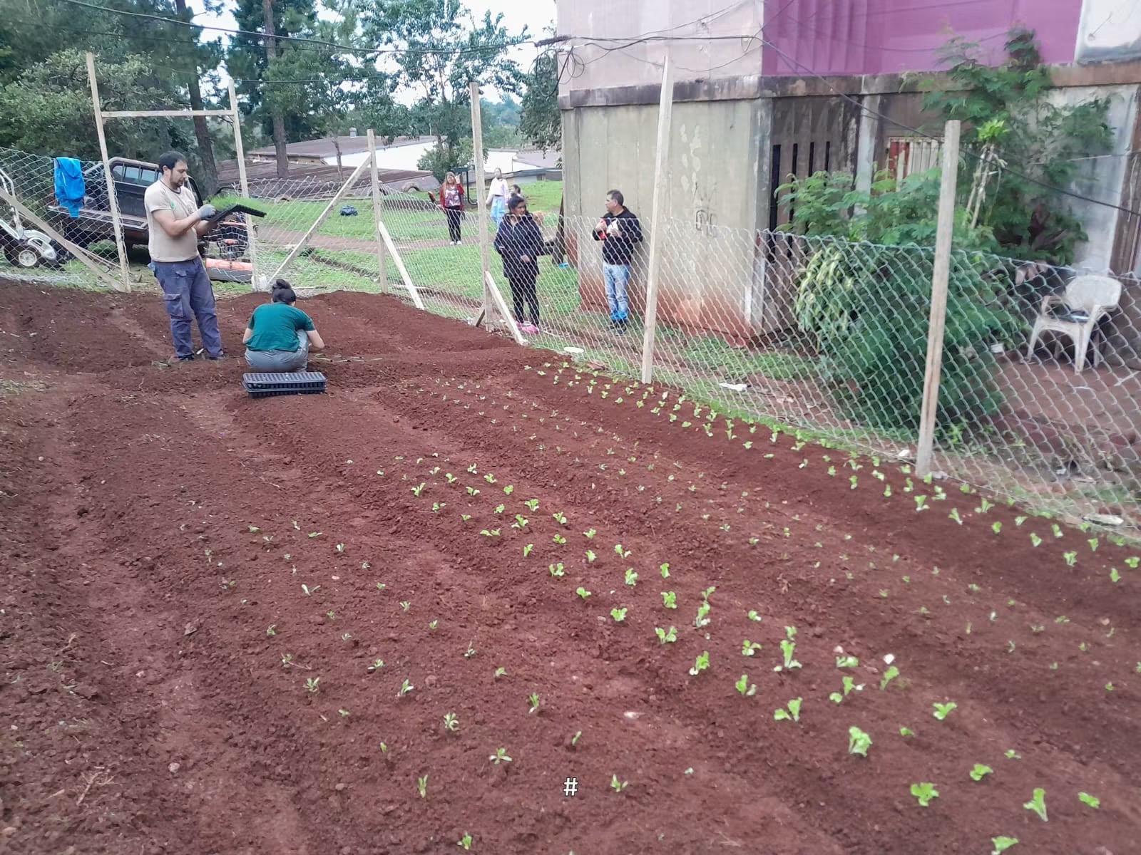 Pusieron en marcha una nueva huerta urbana en el barrio Eldorado 3 2