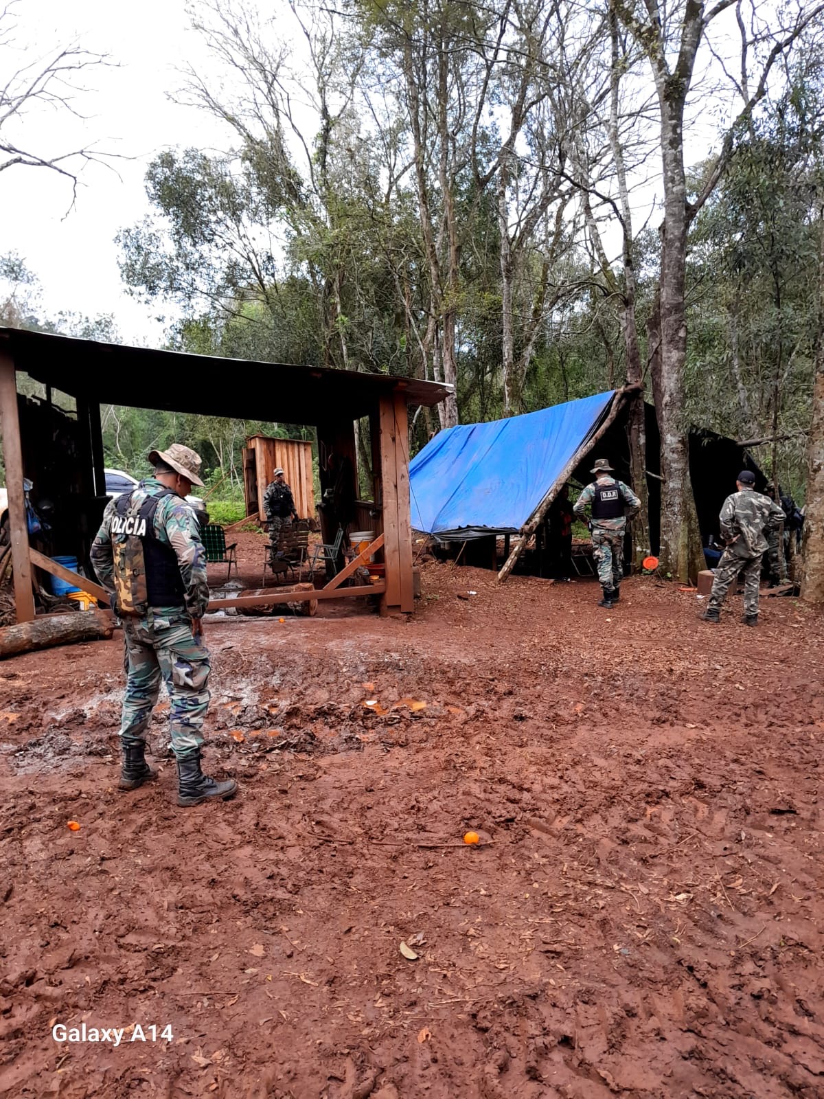 Detectaron 12 puntos de caza furtiva durante un patrullaje en monte cerrado de Caraguatay 3