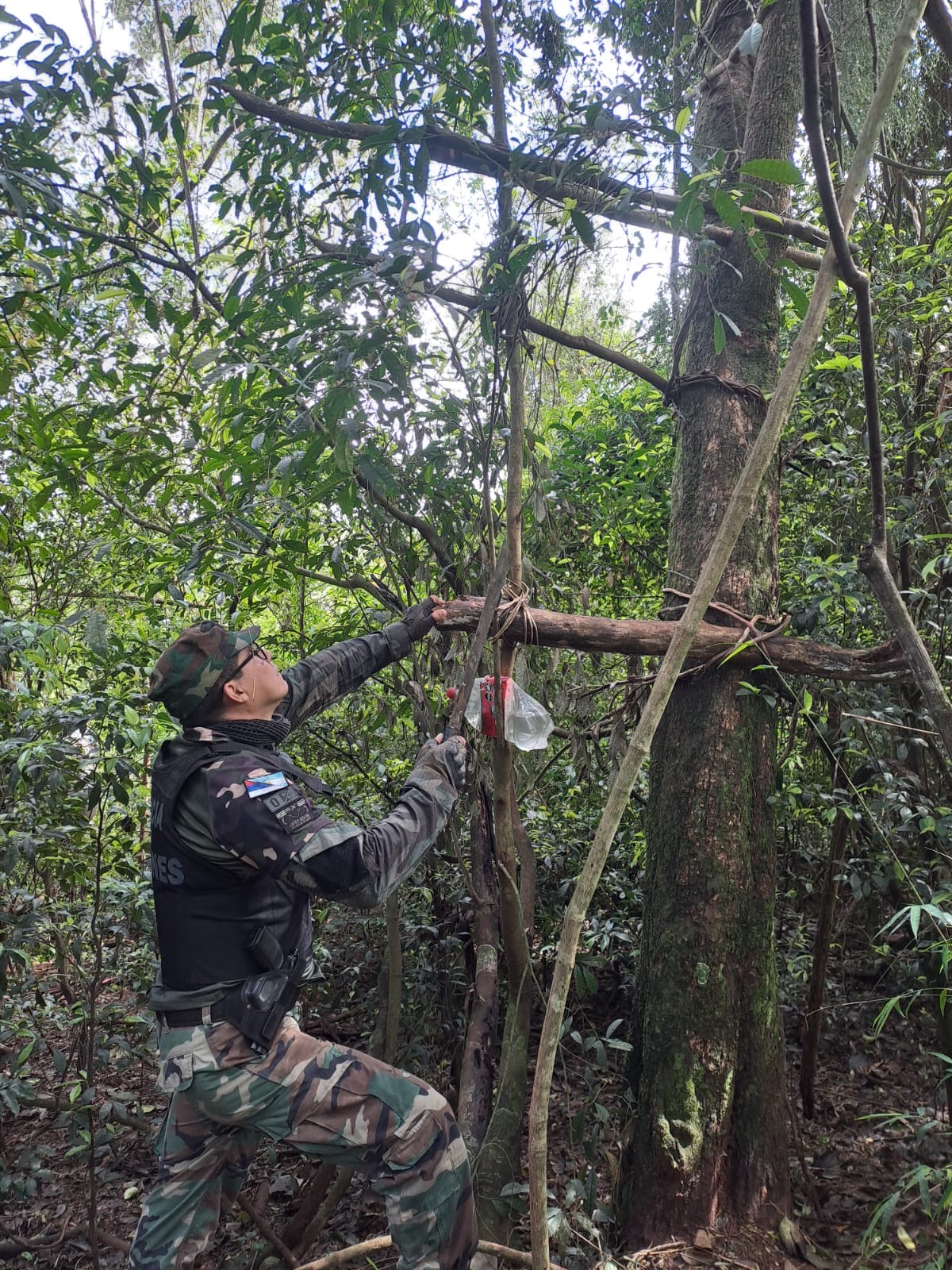 Detectaron 12 puntos de caza furtiva durante un patrullaje en monte cerrado de Caraguatay 4
