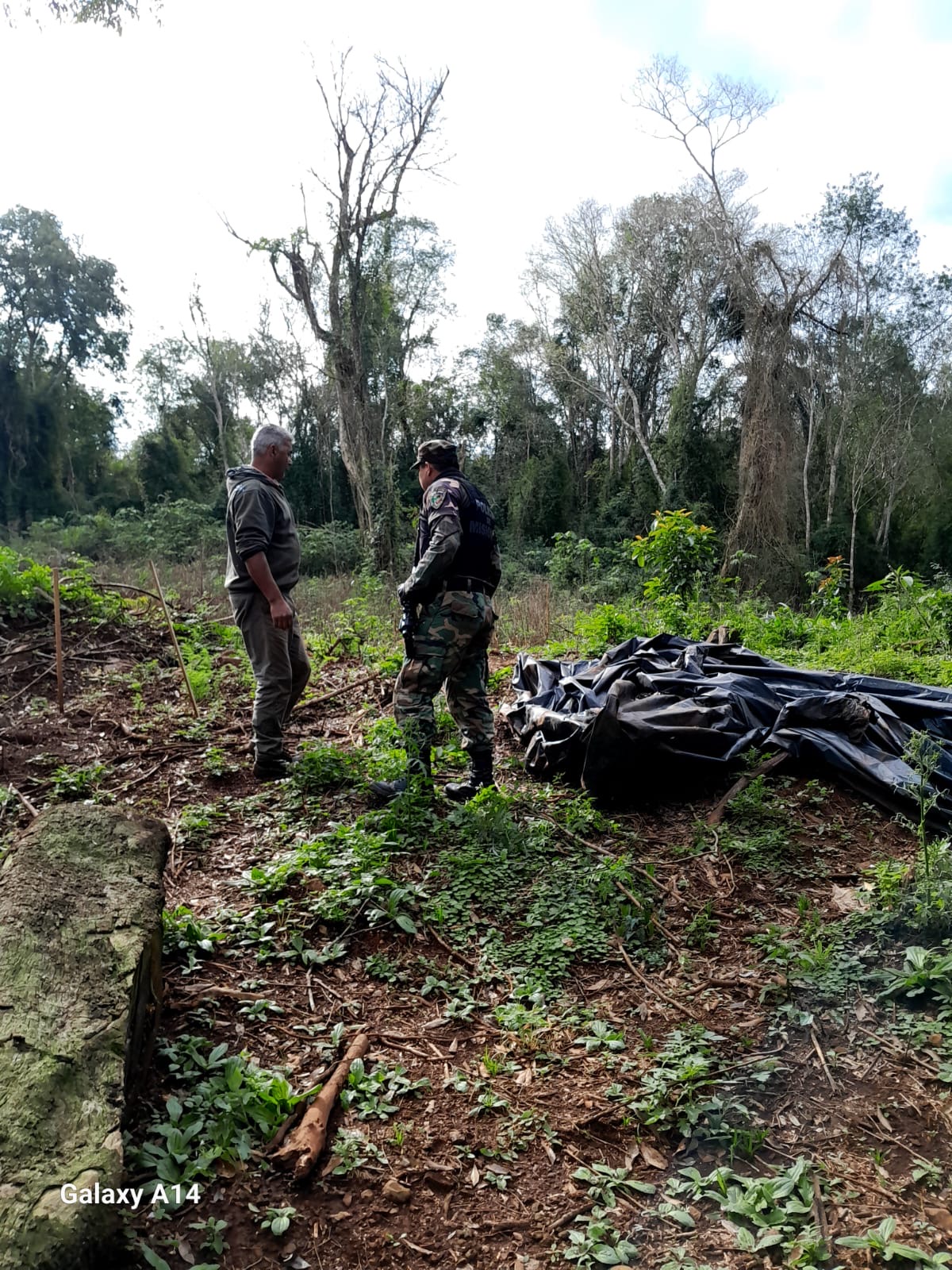 Detectaron 12 puntos de caza furtiva durante un patrullaje en monte cerrado de Caraguatay 5