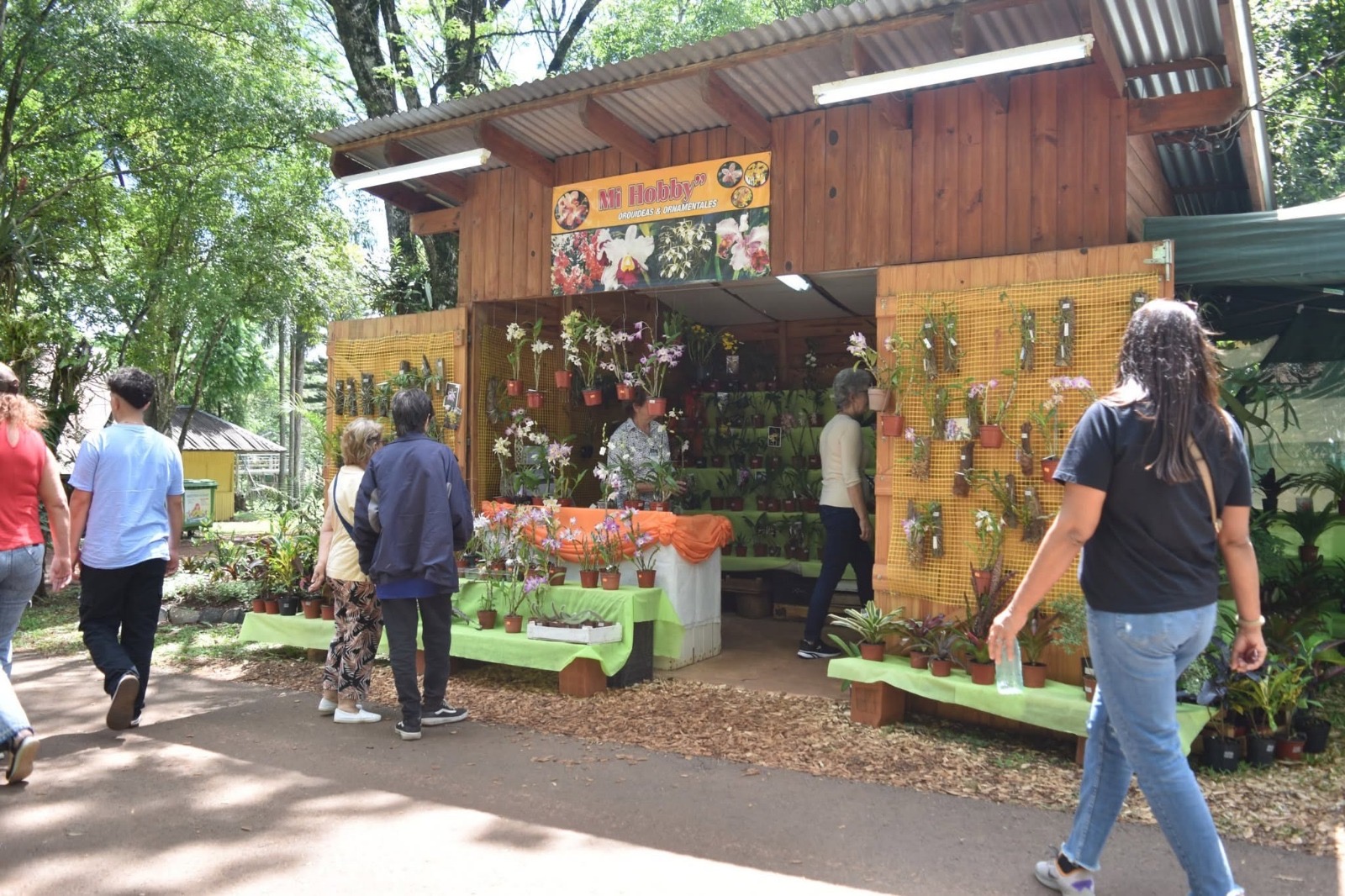 Montecarlo prepara la 35° Fiesta Nacional de la Orquídea y 42° Fiesta Provincial de la Flor 2