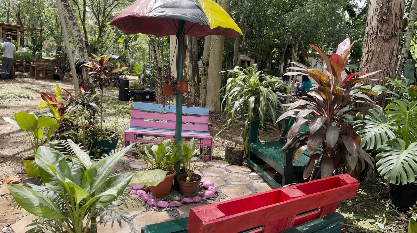 Eldorado: crearon un nuevo espacio recreativo para adultos mayores en el Vivero Municipal 4