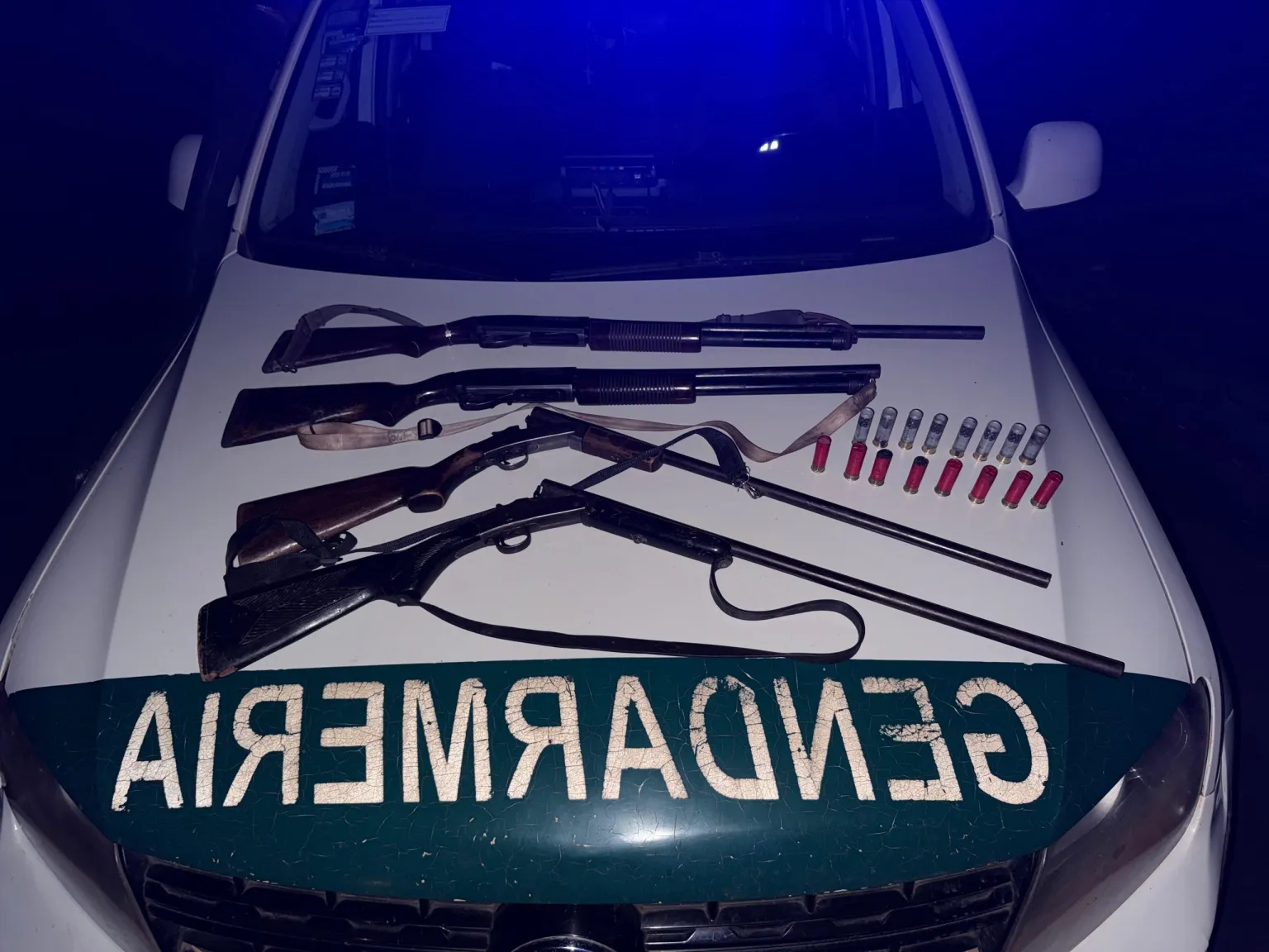 Golpe a la caza furtiva: cayeron tres hombres armados con escopetas en la Reserva de Biósfera Yabotí 3