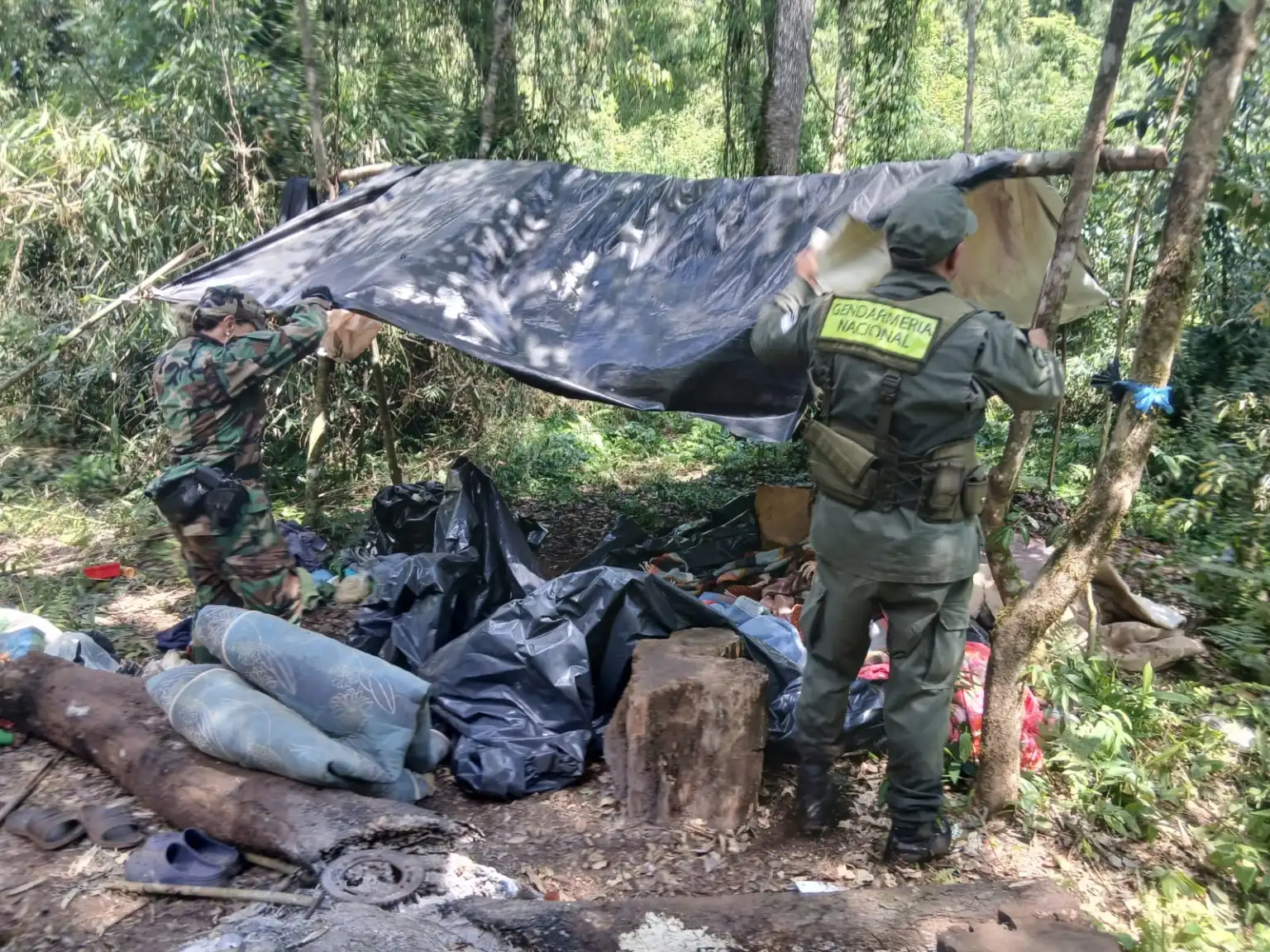 Golpe a la caza furtiva: cayeron tres hombres armados con escopetas en la Reserva de Biósfera Yabotí 2
