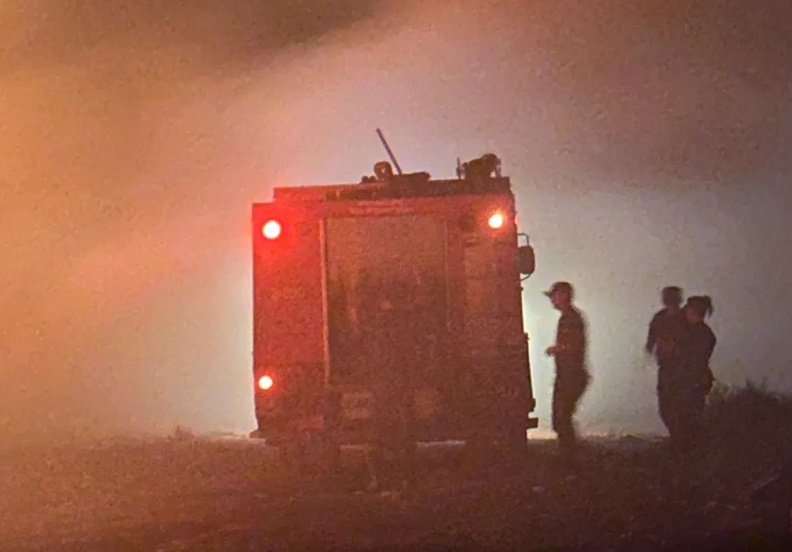 Incendio en Misiones: en fuego arrasó 80 hectáreas en Bonpland y amenazó viviendas 2