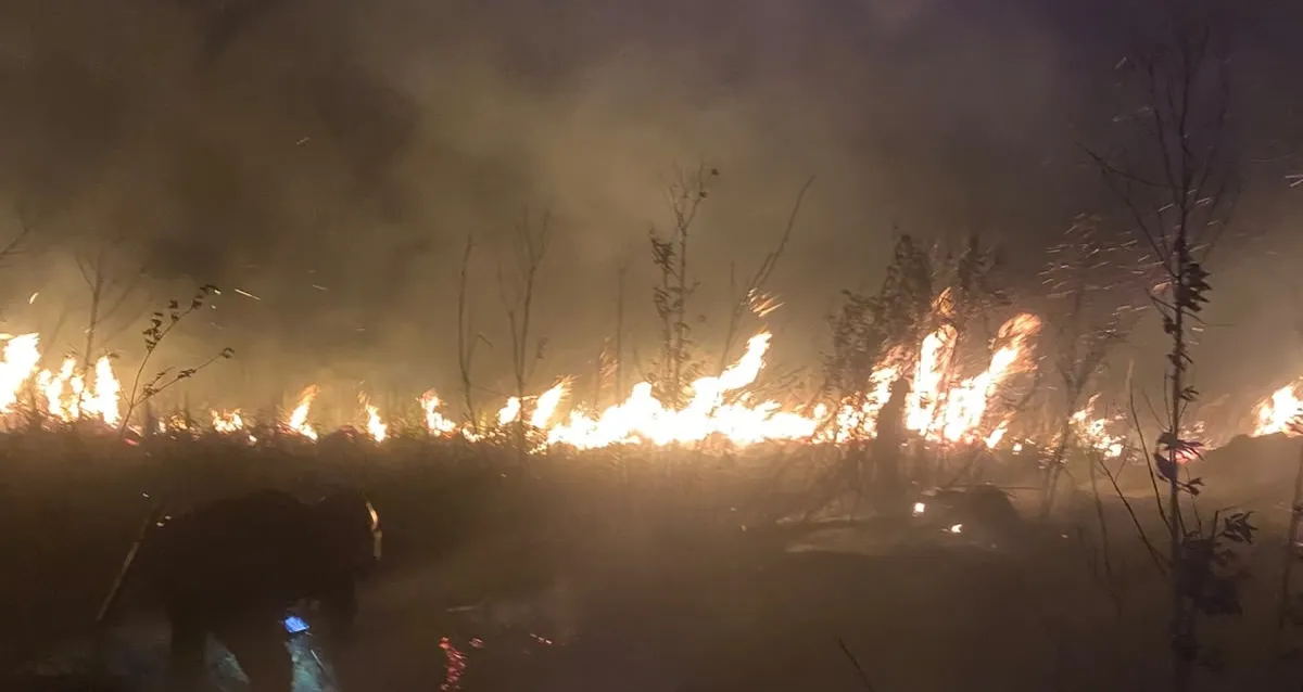 Incendio en Misiones: en fuego arrasó 80 hectáreas en Bonpland y amenazó viviendas 3
