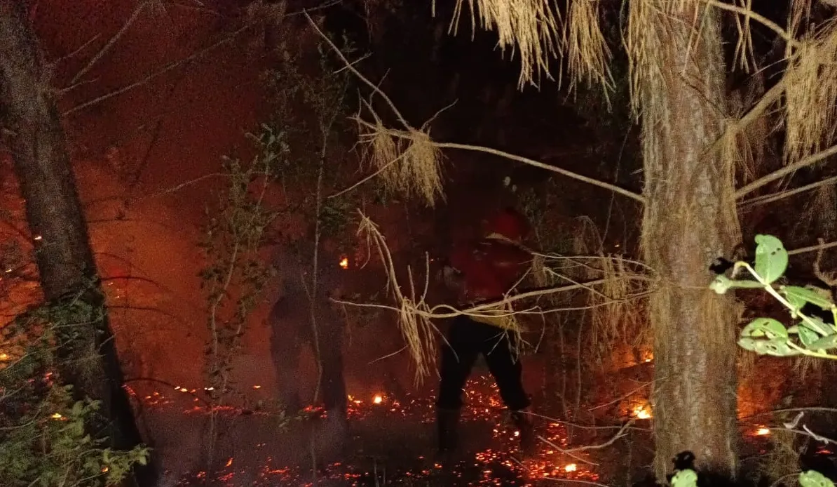 Incendio en Misiones: en fuego arrasó 80 hectáreas en Bonpland y amenazó viviendas 4