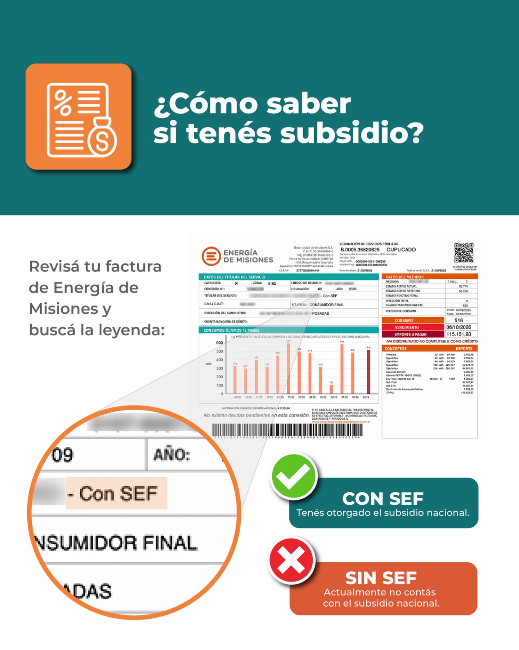 Tarifa eléctrica diferenciada en Misiones: regirá desde noviembre y recomiendan revisar la inscripción en los subsidios 5