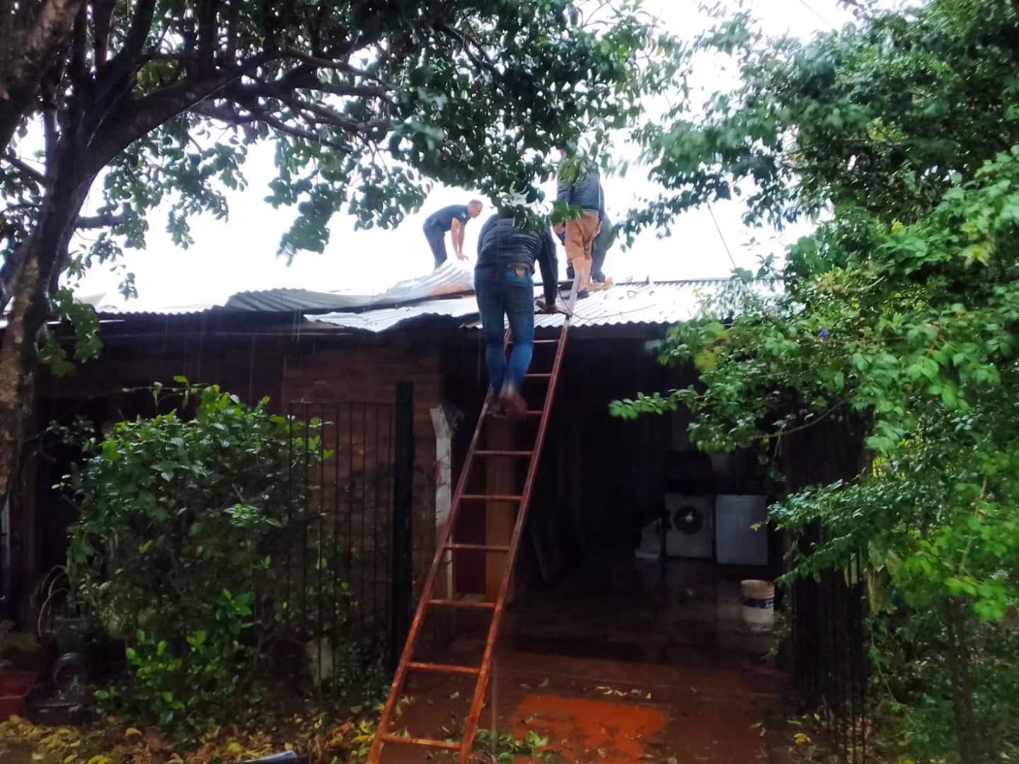Fuerte temporal en Misiones: voladuras de techos, escuelas dañadas y árboles caídos en varias localidades 2