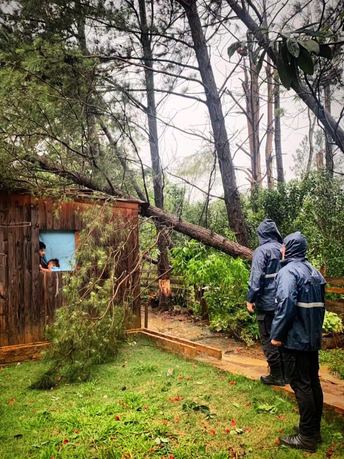 Fuerte temporal en Misiones: voladuras de techos, escuelas dañadas y árboles caídos en varias localidades 3