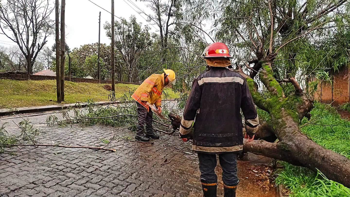 Fuerte temporal en Misiones: voladuras de techos, escuelas dañadas y árboles caídos en varias localidades 5