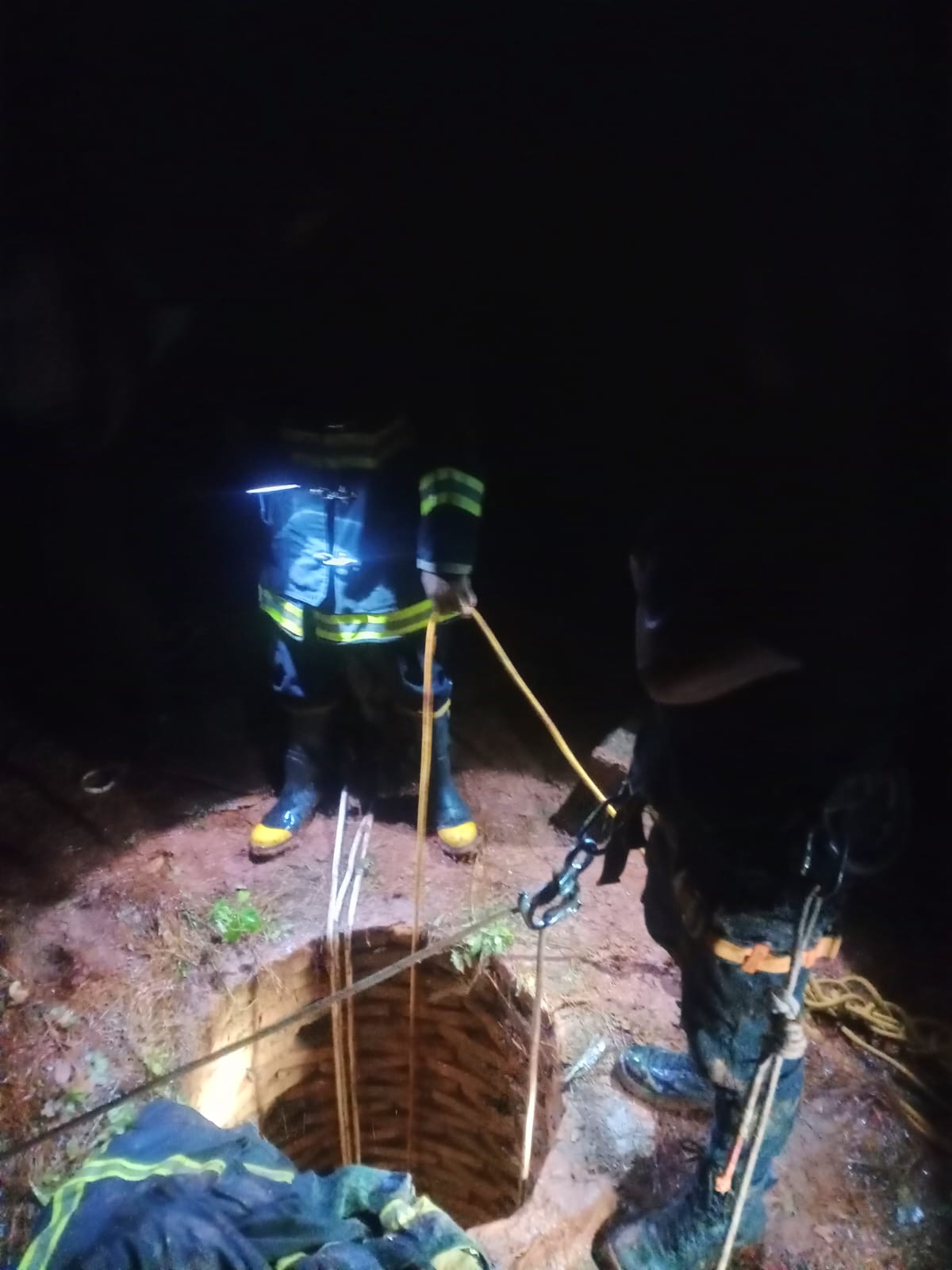 Garupá: murió un caballo que cayó a un pozo de más de 20 metros 2